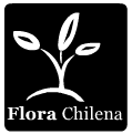 florachilena